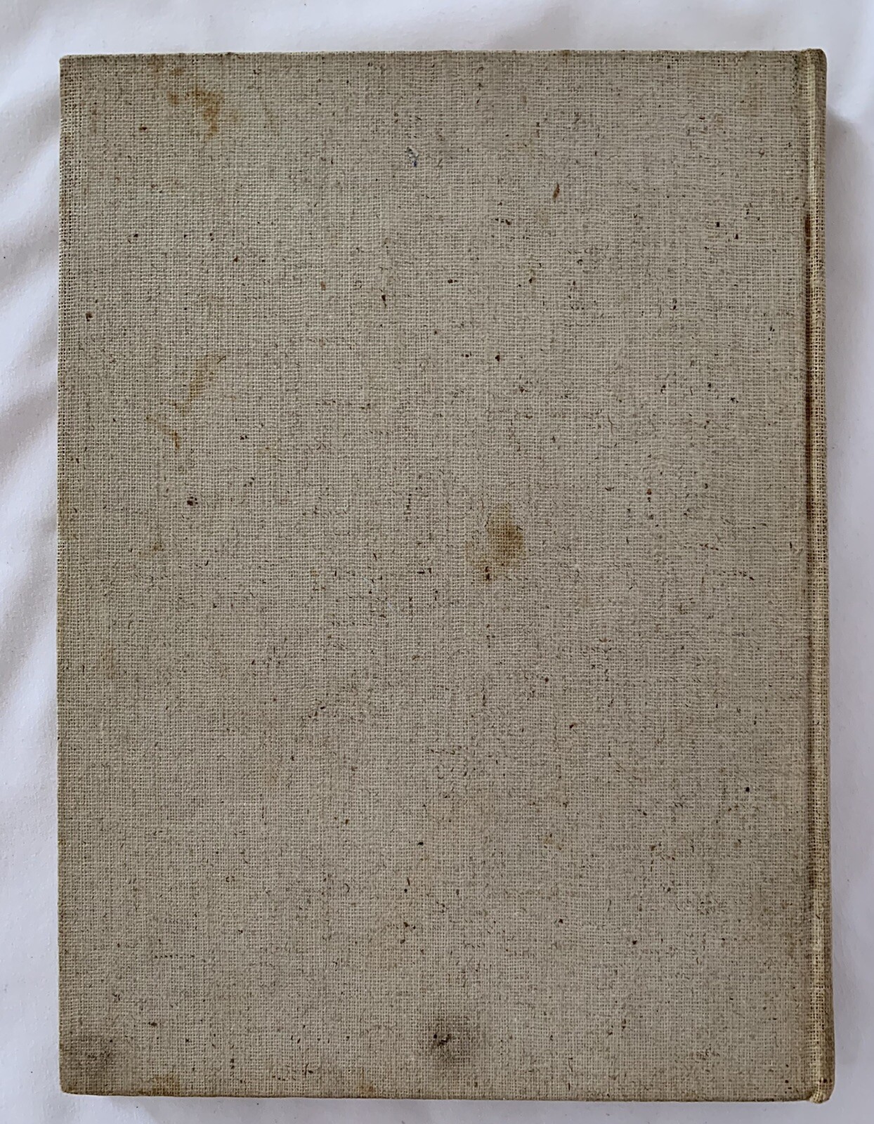 Picture 4 of 4