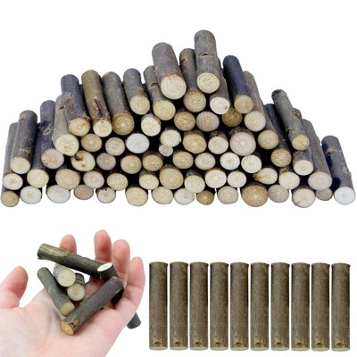100 PCS Craft Sticks 2 Inch Natural Birch Twigs Sticks Mini Wood Log for DIY ...