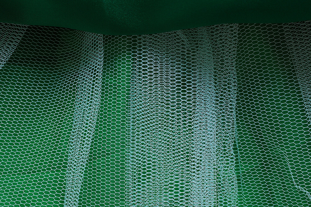 Picture 8 of 37