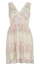 Boohoo Occasion skater dress, UK 12, sleeveless, blush/floral embroidery BNWT