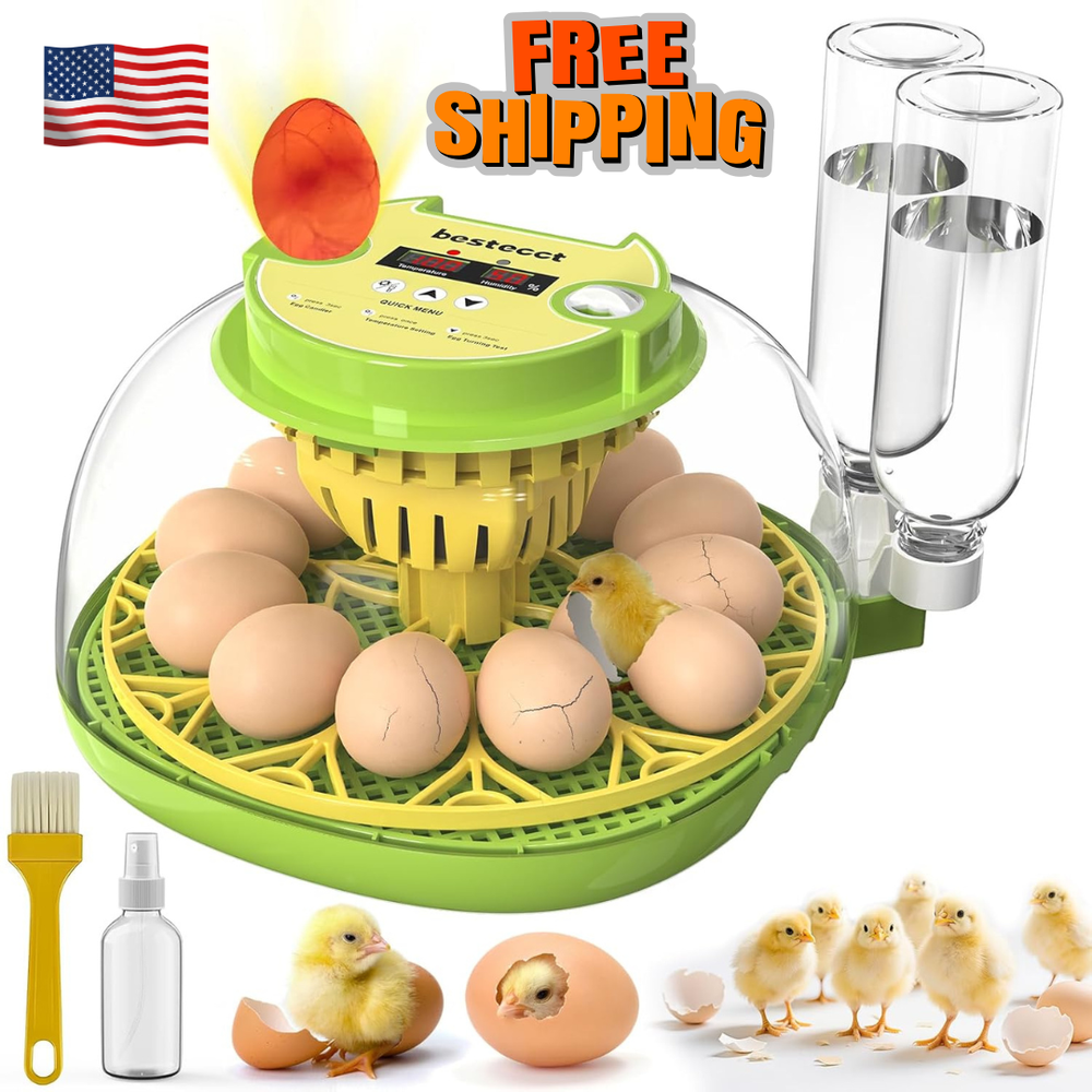 Egg Incubators for Hatching Eggs,12 Egg Incubator with Auto Egg Turning Humidity Egg Incubators for Hatching Eggs,12 Egg Incubator with Auto Egg Turning Humidity