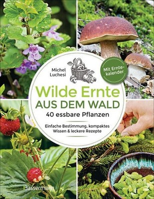 Wilde Ernte aus dem Wald - 40 essbare Pflanzen - einfache Bestimmung, kompaktes