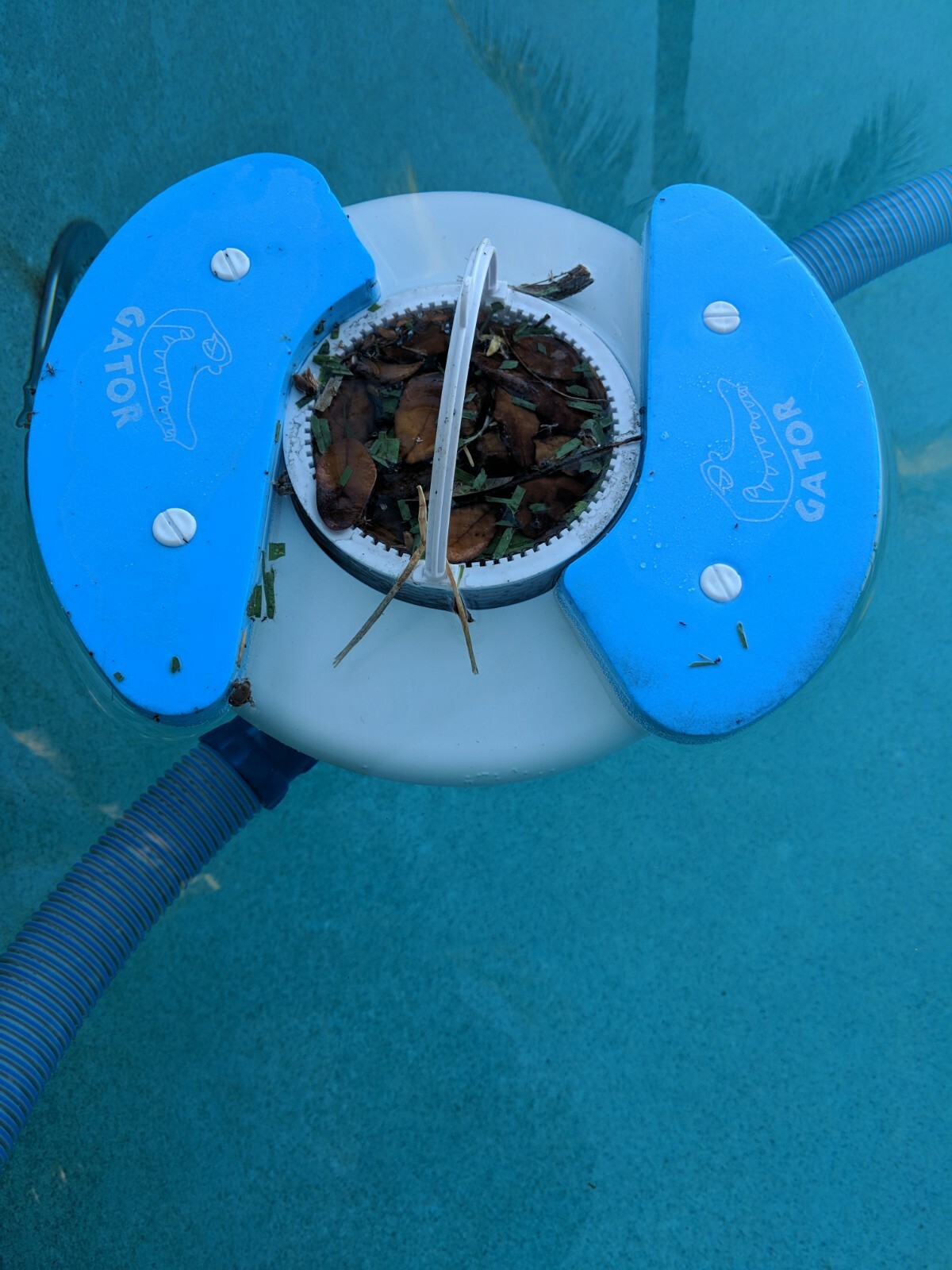 Picture 4 of 5