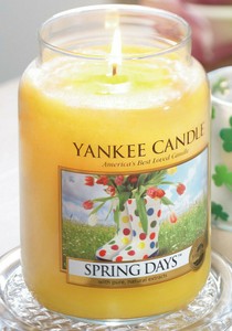yankee