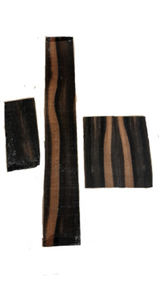 Acoustic Martin Scale Exotic Ebony Finish Griffbrett 25,4