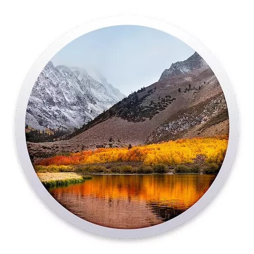 macOS High Sierra download tools. Make your own flash drive or ISO installer.