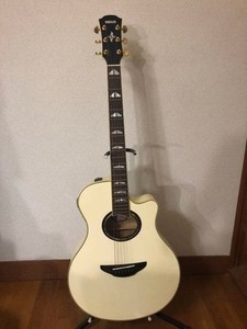 Apx 1000 Yamaha | eBay