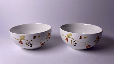 222 Fifth Leah Fine China Porcelain Set If 2 Bowls With Fall Printed Accents