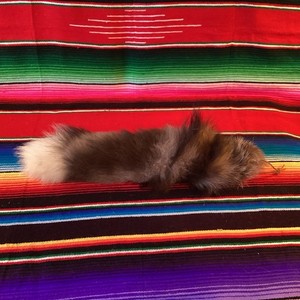 Fox Tail Silver Fur Display Only