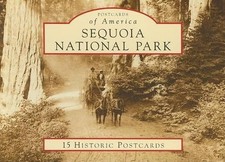 Ward Eldredge Sequoia National Park (Cards) Postcards of America (UK IMPORT)