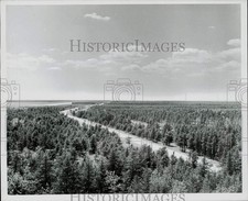 1958 Press Photo Marquette National Forest Near Raco and Soo Locks, Michigan