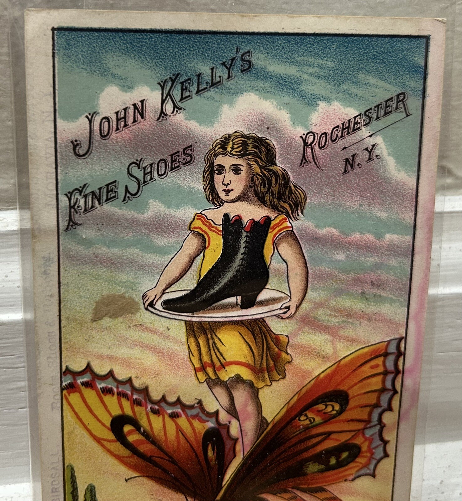 Picture 5 of 5