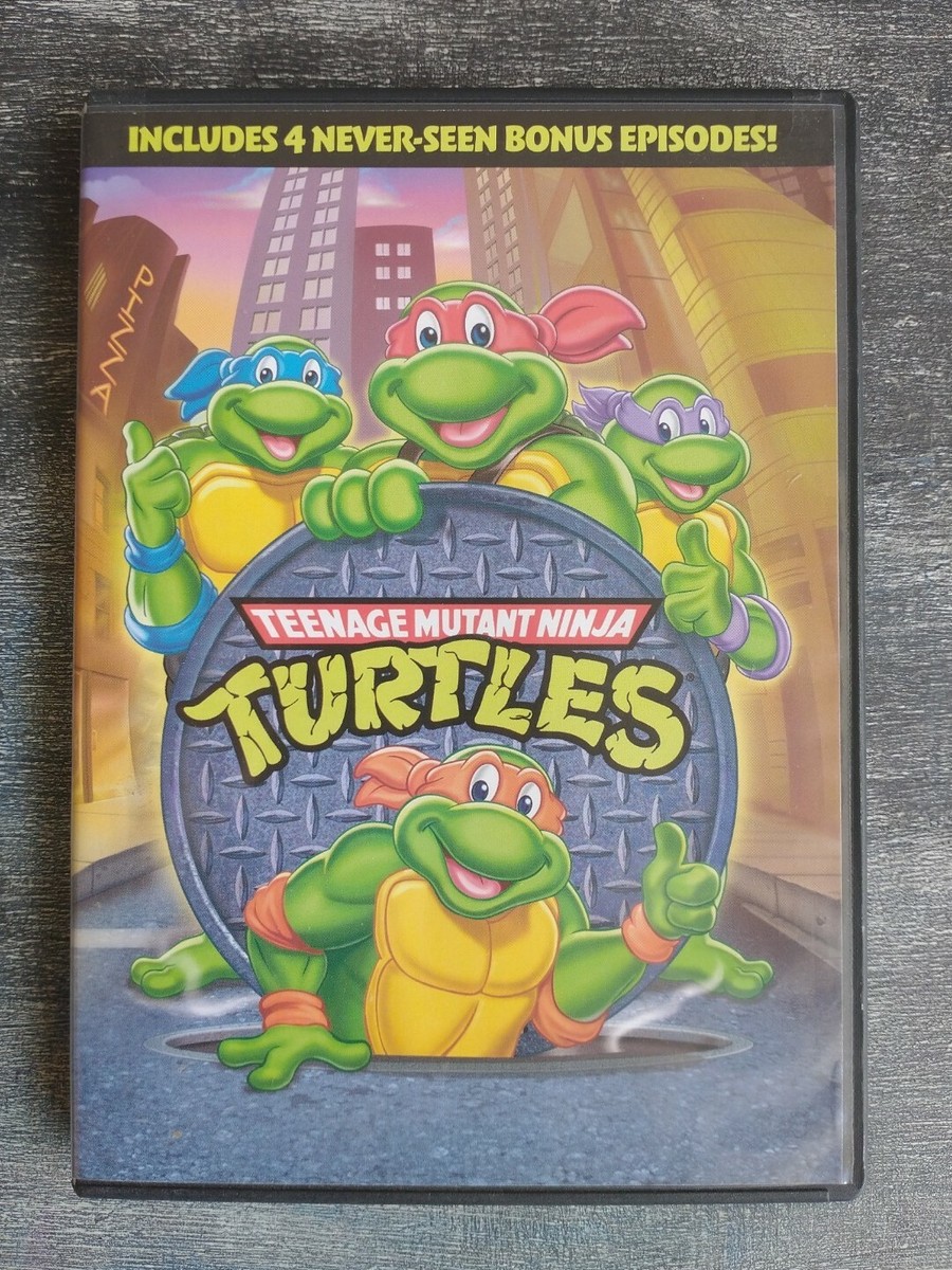 2004 Teenage Mutant Ninja Turtles Animated Series(1987), 9