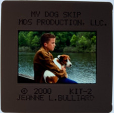 MY DOG SKIP Orig 35mm Movie Color Slide Transparency Willie Morris Fox Terrier