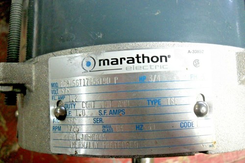 Marathon 56T17G5319D P 3/4 hp, 3 ph, Hazardous Location Motor - Picture 4 of 7