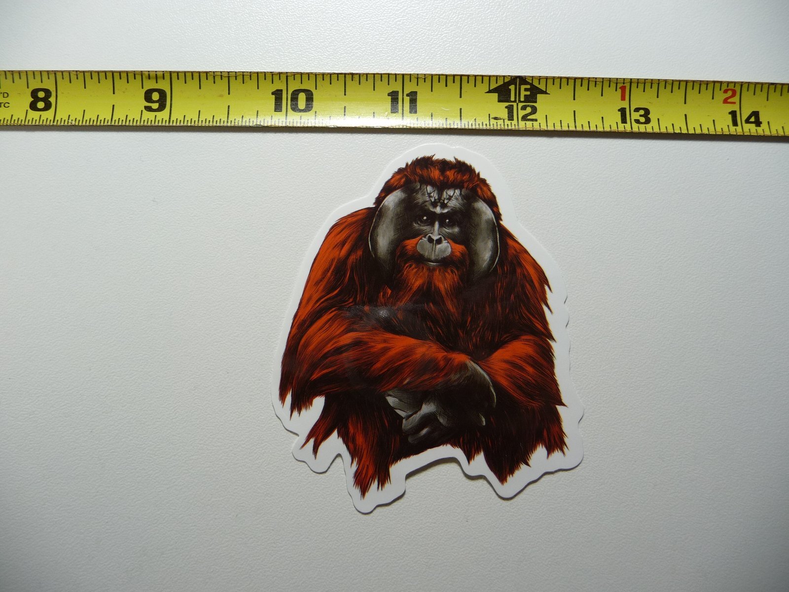 ORANGUTAN DECAL STICKER ZOO ANIMAL WILD CUTE FUN