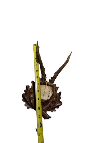 Antique Antler Black Forest Carved Wooden Plate Taxidermy Trophy - Picture 7 of 10