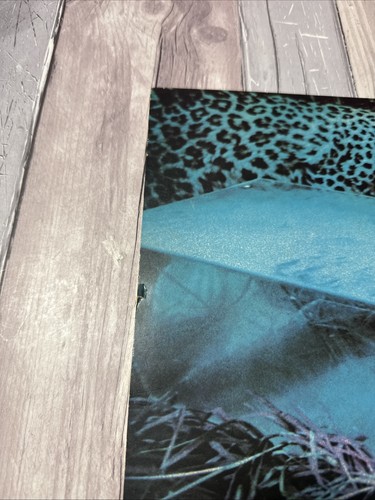 Free Tons Of Sobs Porky Gatefold Reissue LP Album Vinyl Record - Picture 9 of 13