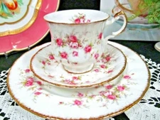 Paragon Victoriana Rose tea cup and saucer trio pink roses teacup England
