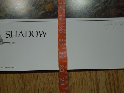 1998 IN MOTHER'S SHADOW, 30x23" EQUESTRIAN / HORSE POSTER SIGNED by JAMES CROW - Picture 3 of 16