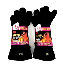 Polar Extreme Women's Gloves 2 Pairs NWT Insulated Thermal Black Ski Gloves OSFM