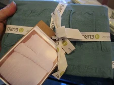  West Elm Seersucker Euro  pacific  sham teal New