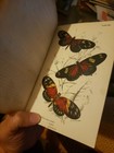 Bild 13 von 15