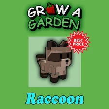 Raccoon - Grow a Garden Roblox | PETS | Cheap & Fast Delivery