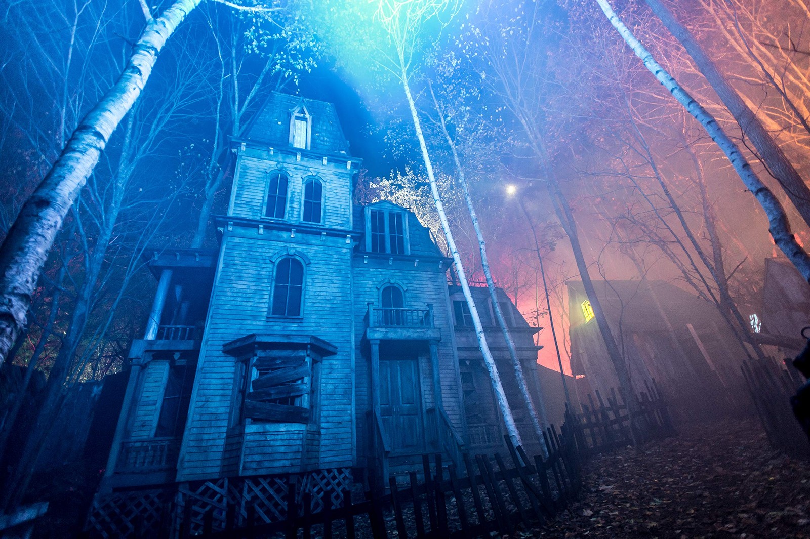 Froggy's Fog Halloween and Party Fog Fluid, High Output Long-Lasting Fog Juic...