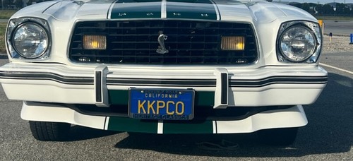 OEM Ford D6ZZ-17A812-A Front Bumper Rubber Guard 1976-78 Mustang, Cobra - Foto 1 di 13