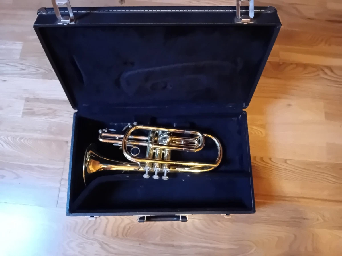 Blessing scholastic cornet Bb