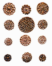 Antiguo lote vintage de 12 botones de metal para cuadros - cortes de acero pequeños a grandes - M131