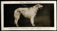 Tobacco Card, Pattreiouex, ANIMALS & SCENES, CC1 - 96, 1925, Borzoi, #12