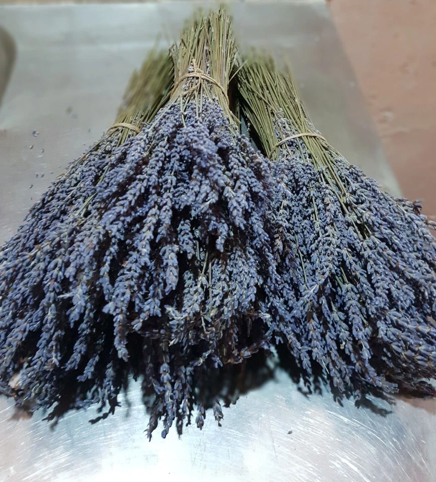 Griechisch Getrocknet Lavendel Bündel Biο 1200 Stiele 4 Buketts 30cm Ernte... - Bild 4 von 4