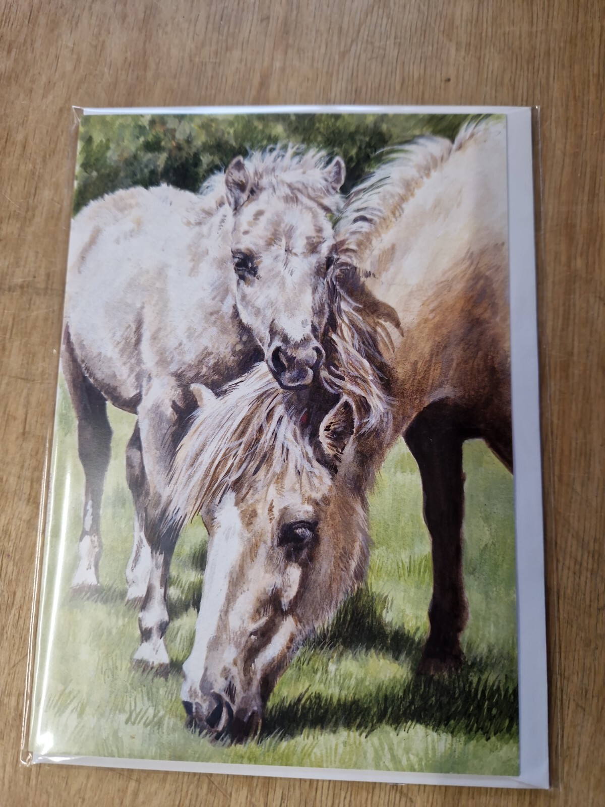 Miniature Shetland Ponies birthday card Shetland Pony BLANK greetings card foal