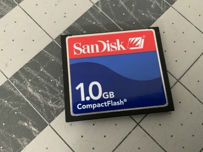 SanDisk 1.0 GB