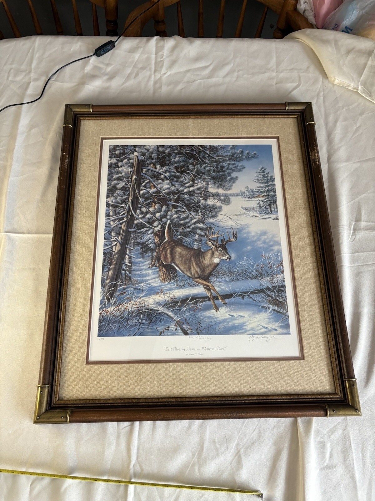 Picture 1 of 14