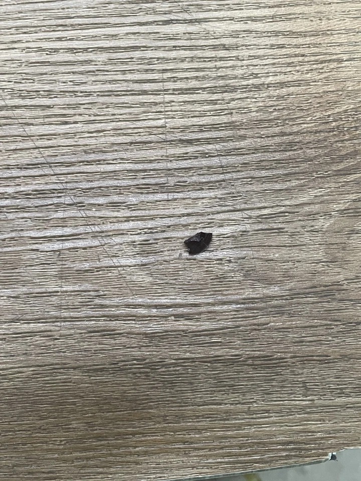 Canarm IT622A04ORB10 Polo 4 Light 29" Wide Fixed Rail - READ- - Image 3 of 4