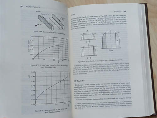 Fundamentals of earthquake engineering. Erdbeben Bauwesen. Tsunami Bau Newmark - Imagen 2 de 4