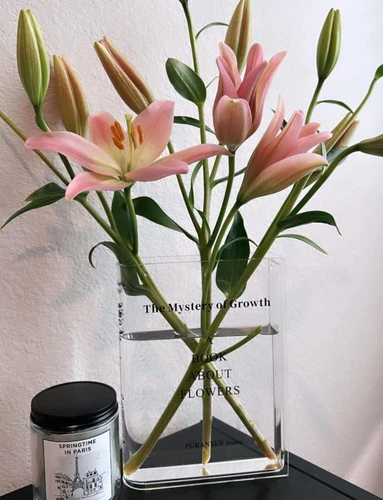 Klare Buch Blumenvase - Floral Bücherregal Dekor, Acryl Blume - Bild 8 von 8