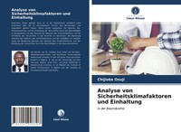 Chijioke Osuji | Analyse Von Sicherheitsklimafaktoren Und Einhaltung | Buch