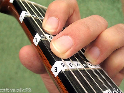 KLASSISCHE GITARRE BURT NOTIZ AUFKLEBER Learn Teach Nylon Etikett Aufkleber