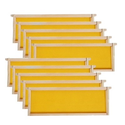 Medium Super Beehive Frames with Wax 10 Count (Pack of 1), Yellow Foundatiom