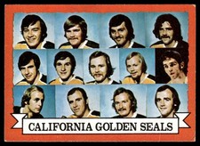 1973-74 Topps Hockey Card Team Photo California Golden Seals #95 VG-EX