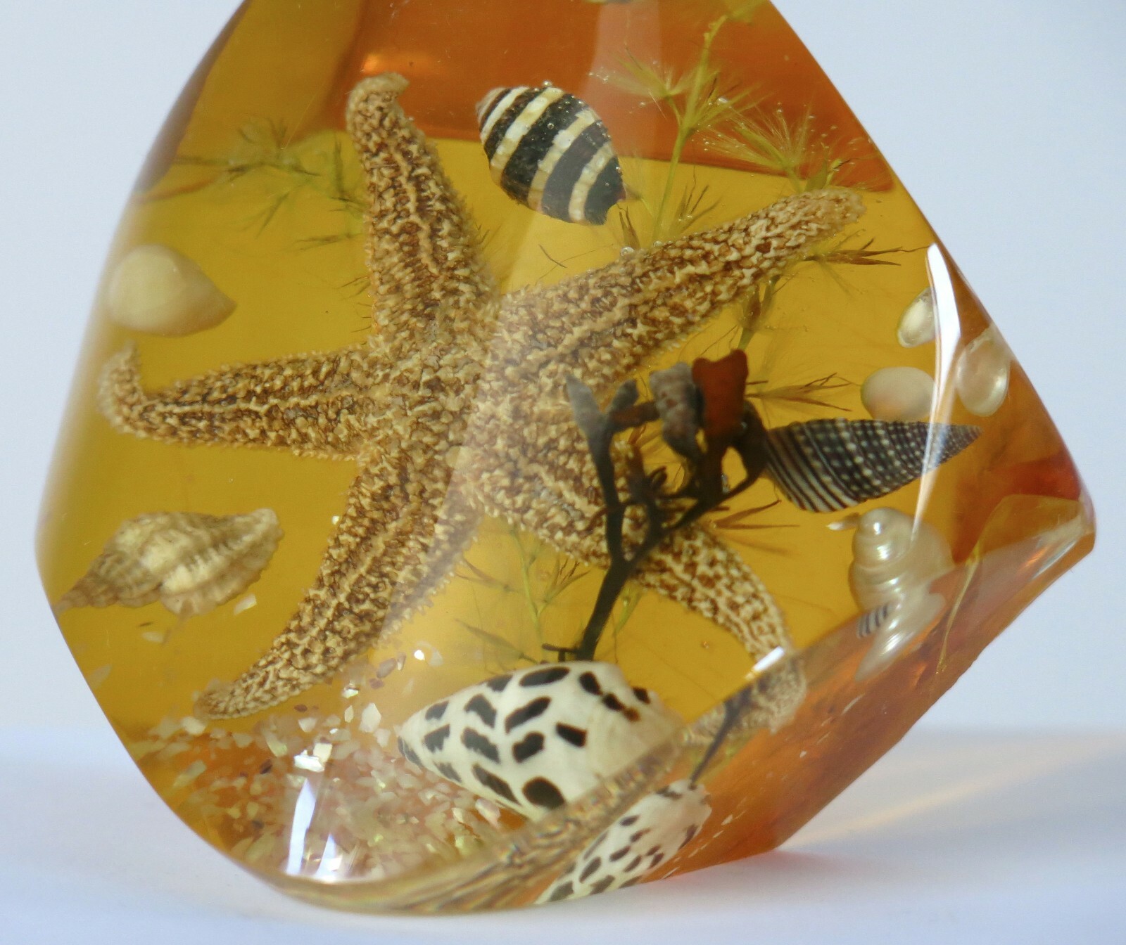 INCLUSION RÉSINE,3 objets inclusions, crabe, coquillages, étoile de mer ...