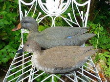2 Vintage Decoys Duck Sport Plast Italy Garden Ornament Prop Hunting etc