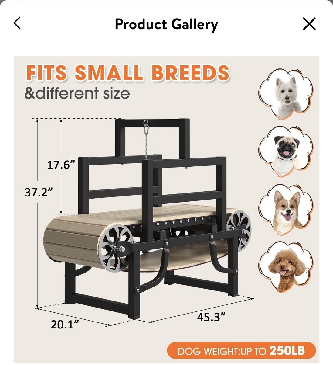 Used Dog Slat Mill For Sale Used Dog Treadmill For Sale PawPaw's
