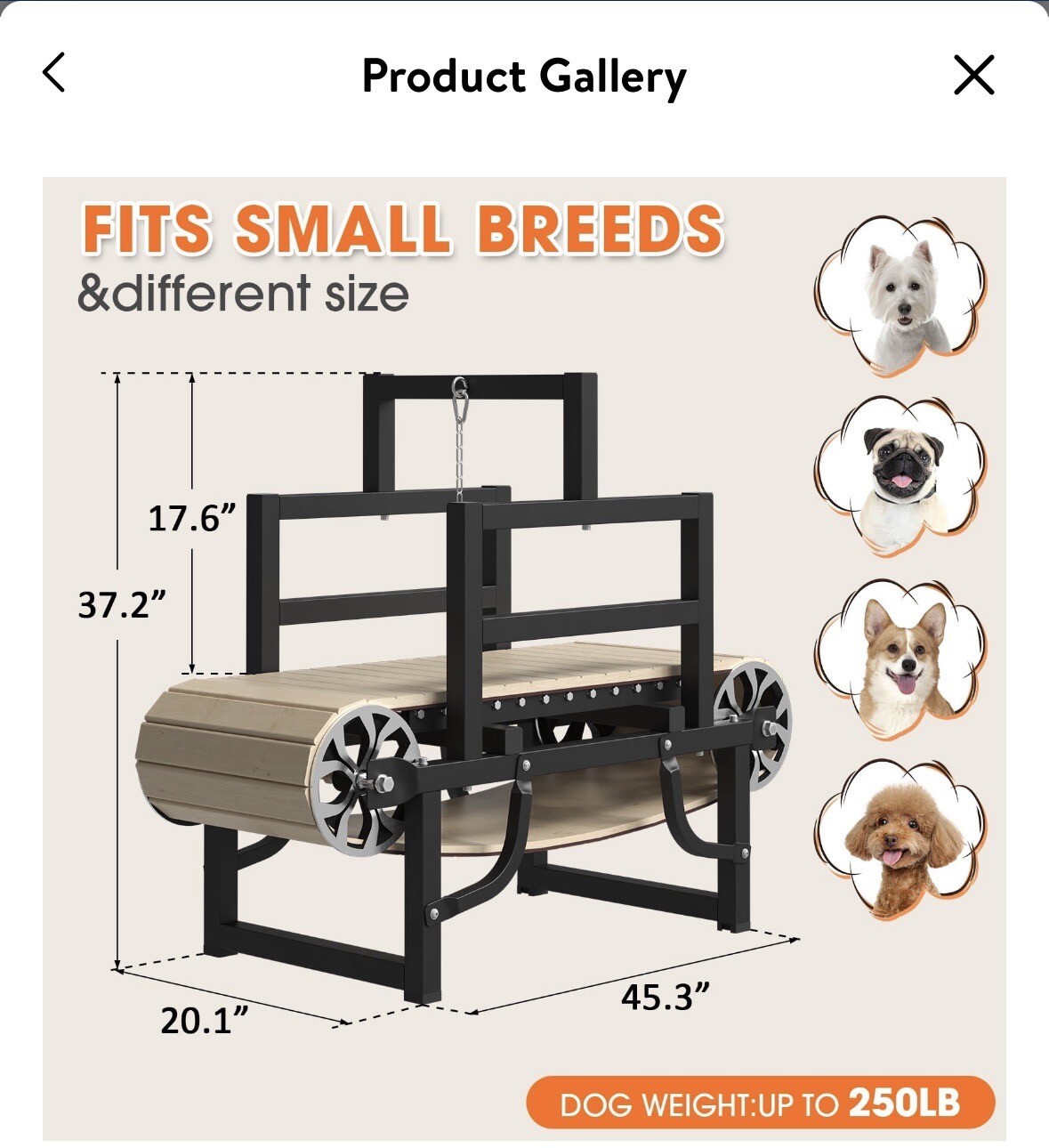 Dog Treadmill (Slatmill) eBay
