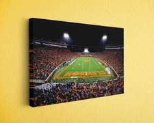 South Carolina Football Stadium Canvas Print - Night Game Wall Art Decor