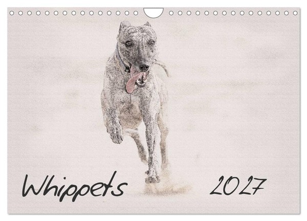 Whippets 2027 (Wall Calendar 2027 DIN A4 Landscape), Calvendo 12 Month Wall Cale-image